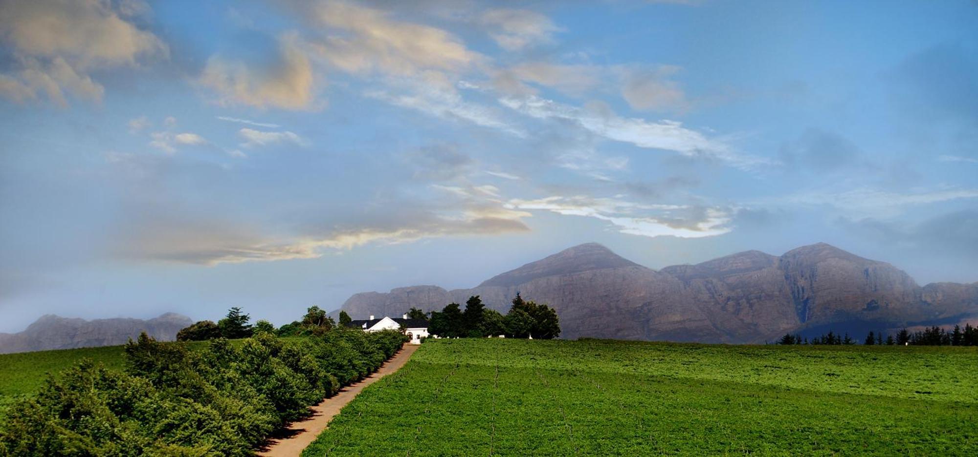 Bakenhof Winelands Lodge 帕尔 外观 照片