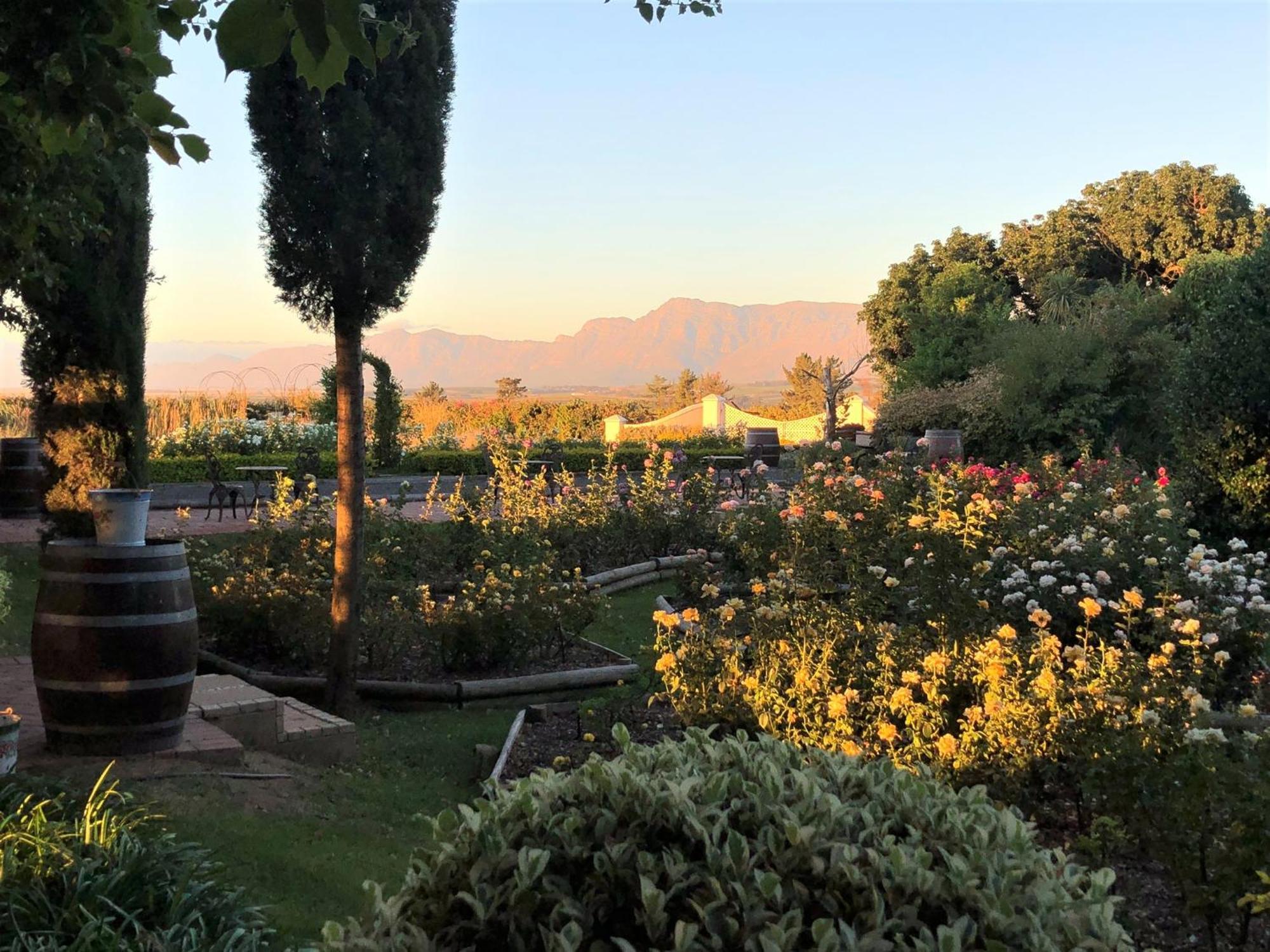 Bakenhof Winelands Lodge 帕尔 外观 照片